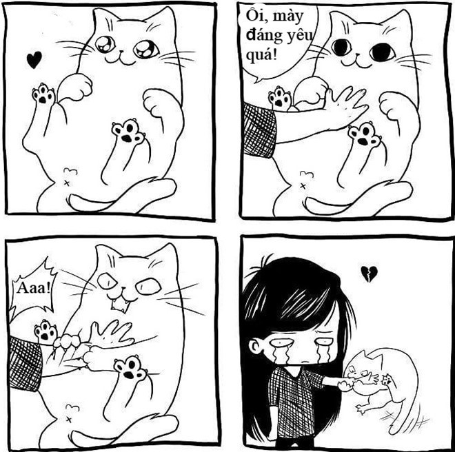 2. Bị cào cấu: Vuốt ve "hoàng thượng" không chỉ giúp chúng thấy thoải mái mà "con sen" cũng vui vẻ và giải tỏa căng thẳng. Nhưng sẽ có lúc bạn đang say sưa vuốt lưng, âu yếm thì bị mèo cưng quay ra cào cấu đau điếng mà chẳng hiểu vì sao.