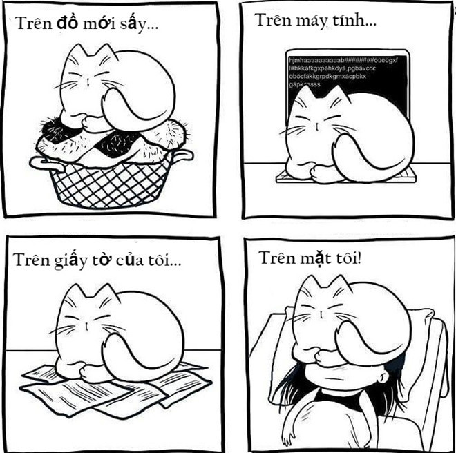 6. Bị "áp bức": Mèo luôn thích những nơi ấm áp như quần áo mới sấy, nằm lên nóc tivi hay máy tính... Không có gì khó hiểu nếu một ngày, bạn bị con mèo mình nuôi nằm lên mặt hay vắt ngang cổ. Hầu hết người yêu mèo vẫn phải im lặng chấp nhận, không nỡ mắng chúng.