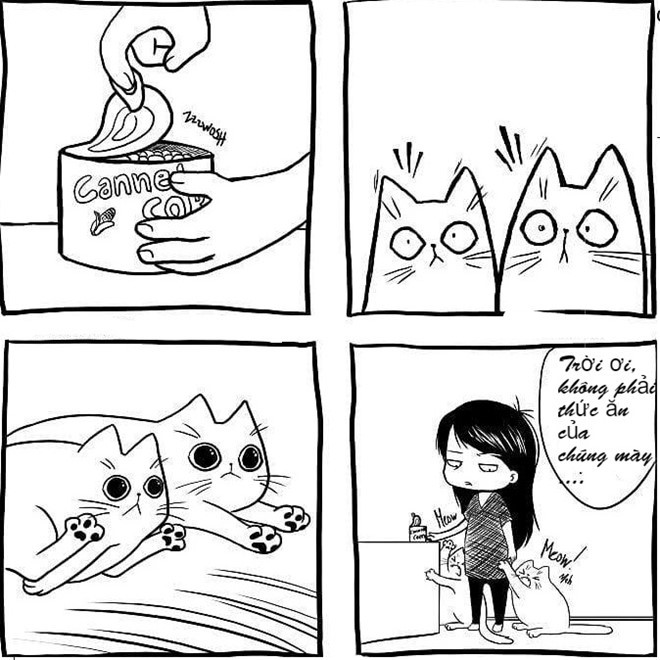 7. Cảm giác bị lợi dụng: Bình thường chủ gọi mãi chẳng thấy đâu, xin được vuốt ve thì không cho, chỉ cần ngửi thấy mùi hay nghe thấy tiếng mở thức ăn, lũ mèo sẽ chạy lao đến bên bạn như có phép màu. Đặc điểm này của những con mèo khiến chủ nhân có cảm giác đang bị lợi dụng.