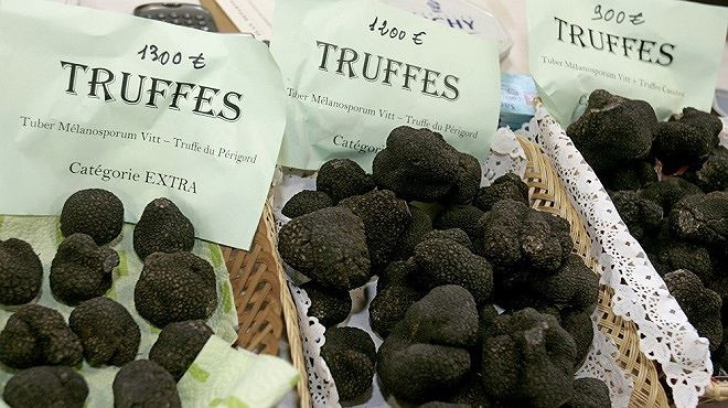 Nấm truffle đen