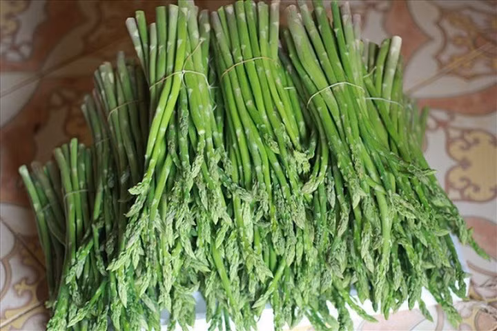 Hiện nay măng tây trên thị trường được chia làm 3 loại tùy theo kích thước và có giá dao động từ 110.000 đồng – 150.000 đồng/ kg. Như vậy 1,5 ha măng tây của chị Hạnh đang cung cấp cả tấn măng tây ra thị trường và có thể mang lại doanh thu khoảng 150 triệu đồng mỗi tháng. (Ảnh: Lao Động)