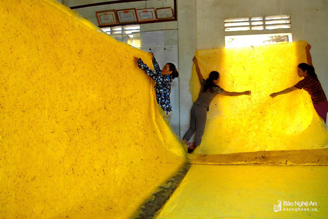 Thảm tơ tằm sau khi tằm tự đan xong. Ảnh Trần Cảnh Yên