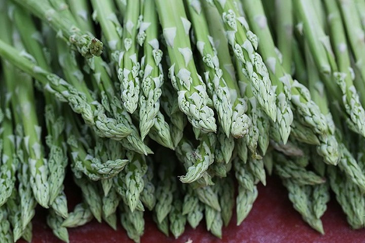 Măng tây phân làm ba loại 1, 2, 3 theo độ to nhỏ. Giá măng xanh từ 60.000 đồng/kg; măng trắng là 150.000 đồng/kg. Với 1,2 ha trồng măng tây trong nhà lưới, trung bình mỗi ngày Hợp tác xã Hồng Thái thu hoạch 70kg, bán được khoảng 7 triệu đồng. (Ảnh: Vnexpress)