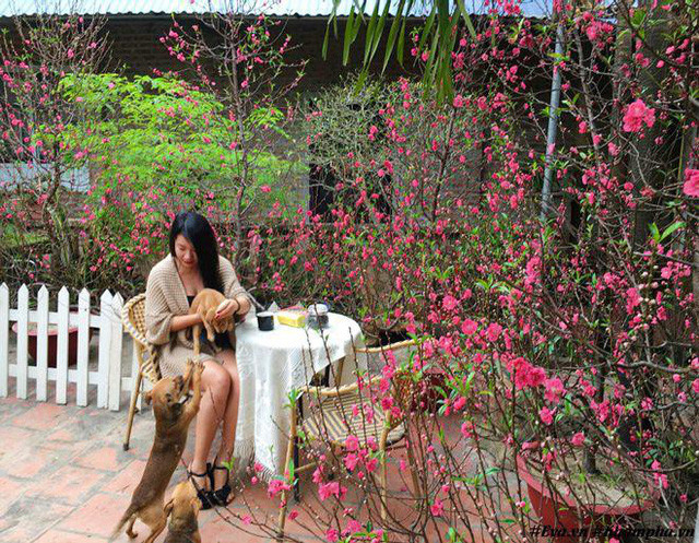 Chị Thùy Anh tâm sự, khu vườn luôn là nguồn cảm hứng để chị sáng tạo nên những bức tranh, những vần thơ và cả những món ăn hàng ngày. Mặc dù ngày nào cũng mất 30 phút lái xe đi làm trong nội thành Hà Nội nhưng chị vẫn luôn hài lòng với chốn bình yên ở ngoại thành, nơi tách biệt với cuộc sống tấp nập, nhộn nhịp phía bên kia cầu.