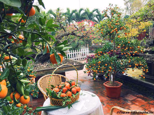 Khu vườn chính là nơi mang lại cảm hứng cho chị trong hội họa, viết sách, nấu ăn.