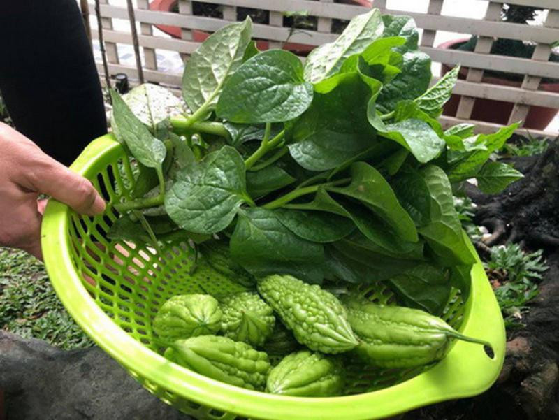 Từ rau mọc trên giàn như bầu, bí, mướp, mướp đắng...