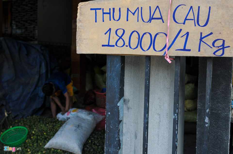 Thống kê sơ bộ của huyện Sơn Tây, địa phương này có 1.100 ha đạt sản lượng 20.000 tấn cau trái. Nếu thu hoạch hợp lý, đúng độ tuổi, với giá dao động từ 18.000 đồng đến 25.000 đồng mỗi kg như hiện nay thì người dân địa phương có thể thu về hàng chục tỷ đồng từ loại cây này.