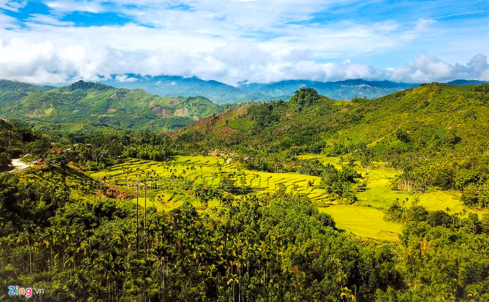 Xu so ngan cau: An com duoi dat lam viec tren troi mang lai tien ty