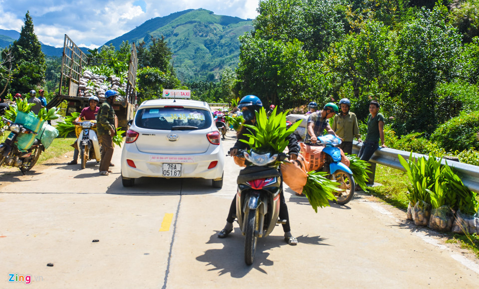 Địa phương xác định cây cau trở thành loại cây trồng chủ lực, từng bước hỗ trợ người dân các chính sách hỗ trợ đầu tư, tìm kiếm phát triển thị trường. Huyện vùng cao Sơn Tây hướng đến mục tiêu hình thành vùng chuyên canh có sản lượng hàng hóa lớn, xác lập thương hiệu cho loại cây này. Từ nay đến năm 2025, địa phương này đặt mục tiêu hình thành vùng chuyên canh cây cau tập trung khoảng 2.000 ha.