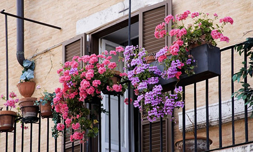 Lui thui xach tui di de, vo tuc nghen gap chong o benh vien