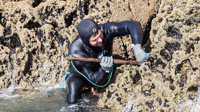 Cảnh săn bắt đằng hồ nguy hiểm.