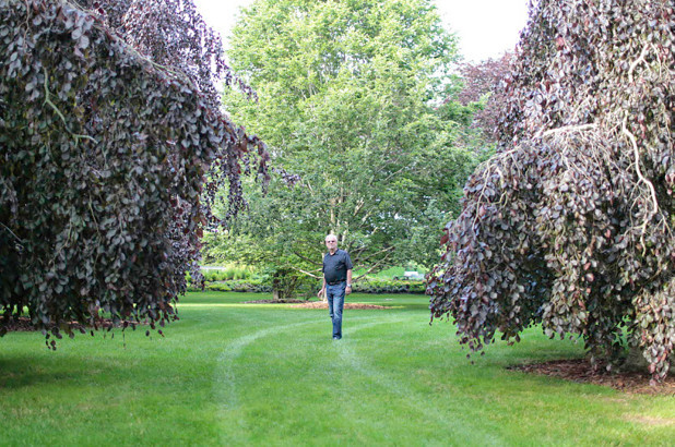 Ông Meisel đứng giữa khu vườn toàn những loài cây quý hiếm của mình.