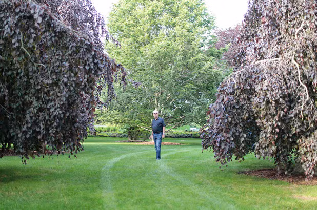 Ông Meisel đứng giữa khu vườn toàn những loài cây quý hiếm của mình.