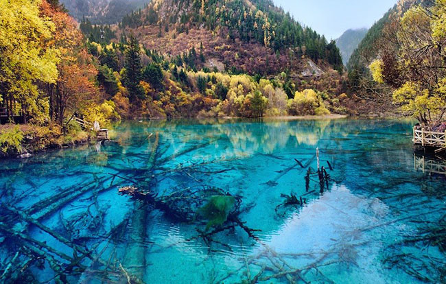 9. Thung lũng Jiuzhaigou Công viên quốc gia này ở Trung Quốc rất nổi tiếng với các hồ nước xanh tươi sinh động và những thác nước tuyệt đẹp. Một số hồ nước trong veo khiến bạn có thể nhìn thấy đáy của chúng ngay cả ở những chỗ cực sâu. Một số hồ khác lại chứa các mỏ canxi cacbon có hình dáng thú vị. Ví dụ, những trầm tích ở dưới cùng của một hồ, giống như một con rồng đang ngủ.