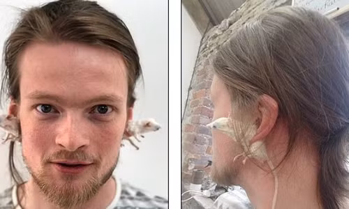 Kinh di canh dung chuot chet lam khuyen tai