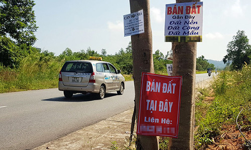 Các bảng rao bán đất được treo ở nhiều nơi tại Phú Quốc - Ảnh: KHOA NAM