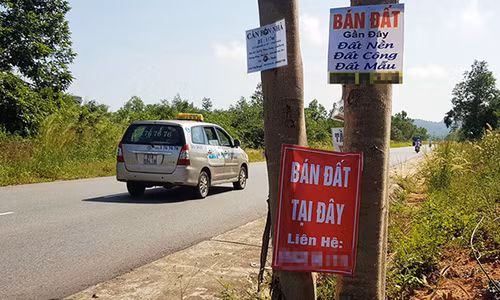 Các bảng rao bán đất được treo ở nhiều nơi tại Phú Quốc - Ảnh: KHOA NAM