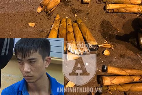 Toàn bộ số ma túy được ngụy trang trong những cây măng tre đã khoét lõi.