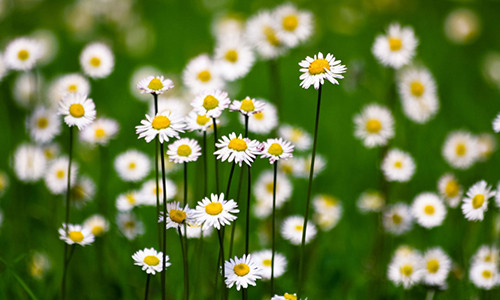 Tu vi thu bay ngay 22/12/2018 cua 12 cung hoang dao