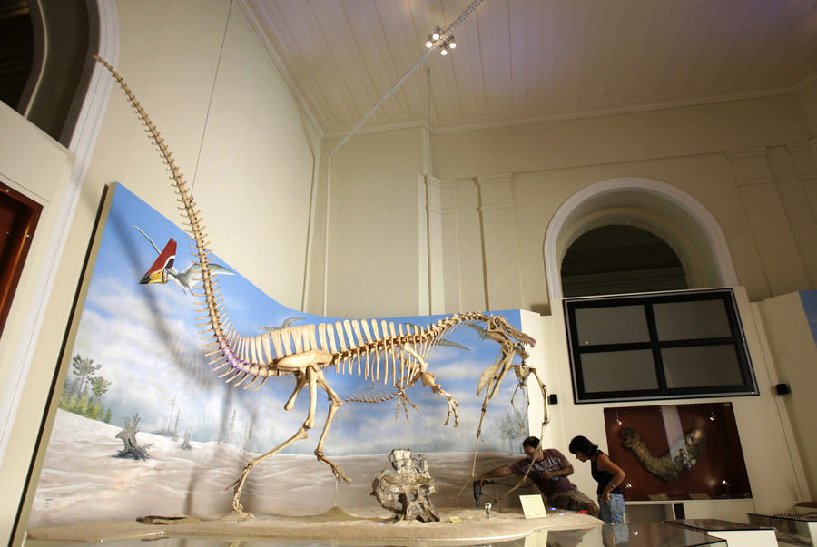 Loat co vat sieu quy gia trong vu chay bao tang Brazil-Hinh-3