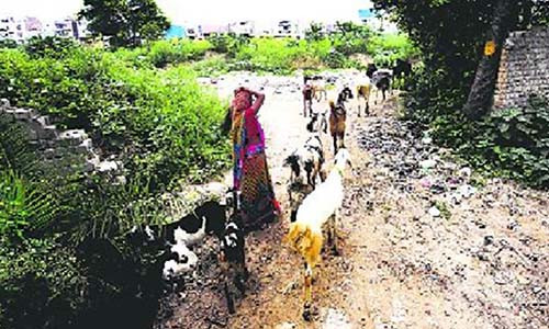 Khu vực xảy ra vụ cưỡng hiếp và siết cổ dã man hai bé gái.