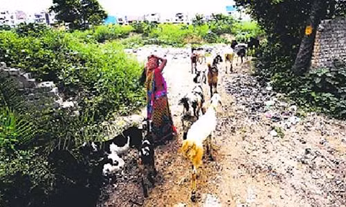 Khu vực xảy ra vụ cưỡng hiếp và siết cổ dã man hai bé gái.