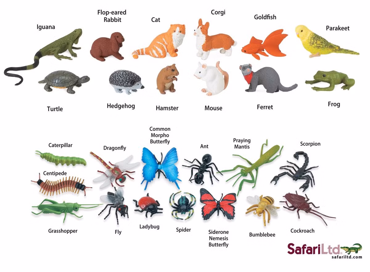 Giá trị của bộ đồ chơi mô hình của hãng Safari (Mỹ) đang thu hút cả phụ huynh lẫn trẻ em bởi độ sắc nét về hình khối, màu sắc sinh động, chất liệu an toàn và chủng loại phong phú không có giới hạn.