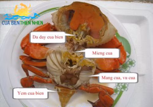 Co the chet nguoi khi an cua sai cach-Hinh-4