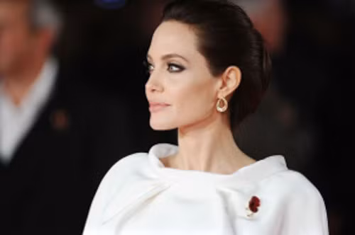 Ngôi sao điện ảnh Angelina Jolie không chỉ được khán giả yêu mến bởi tài năng điện ảnh, những đóng góp cho các hoạt động nhân đạo, mà còn nghị lực trên hành trình chống lại bệnh tật. Hai năm trước đây vào ngày 14/5/2013, Angelina Jolie đã kể lại câu chuyện của mình, về việc cô phải cắt bỏ bộ ngực để phòng ngừa căn bệnh ung thư vú do một gene lỗi mà cô nhận từ mẹ, người đã chết vì bệnh này. Ảnh: mirror
