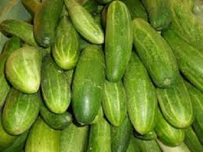 Tránh ăn dưa chuột không sạch. Trong quá trình trồng, thu hoạch, vận chuyển, bán hàng, dưa chuột dễ bị nhiễm các loại vi khuẩn như E. coli, Shigella, giun đũa. Vì vậy hãy chắc chắn để làm sạch trước khi ăn.