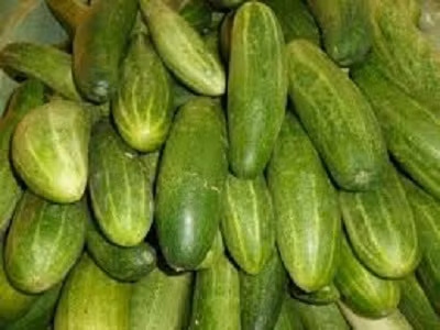 Tránh ăn dưa chuột không sạch. Trong quá trình trồng, thu hoạch, vận chuyển, bán hàng, dưa chuột dễ bị nhiễm các loại vi khuẩn như E. coli, Shigella, giun đũa. Vì vậy hãy chắc chắn để làm sạch trước khi ăn.