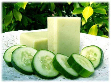 Các vị đắng không chỉ có lợi cho dạ dày, làm tăng sức tiêu hóa, giúp tiêu hóa, gan túi mật, mà còn phòng ngừa cúm. Ngoài ra, các thí nghiệm trên động vật khẳng định rằng chất này có tác dụng chống khối u lớn.