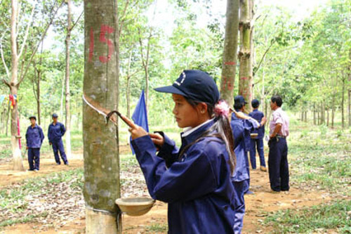 Đây là những hóa chất độc hại có khả năng biến đổi gen, thay đổi cấu trúc tế bào, làm rối loạn quá trình phân chia của tế bào trong cơ thể, hình thành bệnh ung thư. Ảnh: baoquangngai