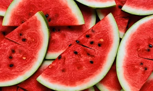 Tac dung tuyet voi cua hat dua hau-Hinh-2