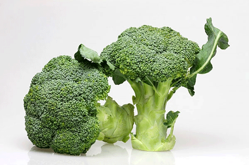 Súp lơ xanh rất giàu sulforaphane, một hợp chất có thể ức chế sự phát triển của bệnh ung thư phổi. Theo các nhà khoa học, chất sulforaphane trong súp lơ xanh giúp hệ miễn dịch tiêu diệt vi khuẩn gây bệnh trong phổi. Ảnh: baophunu