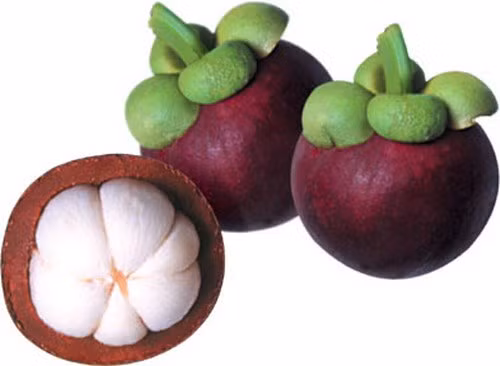 Măng cụt. Măng cụt có chứa các hợp chất polysaccharide chống ung thư hoặc chống vi khuẩn. Chúng giúp ức chế sự đột biến của các tế bào ung thư và ngăn chặn sự di căn của tế bào ung thư.