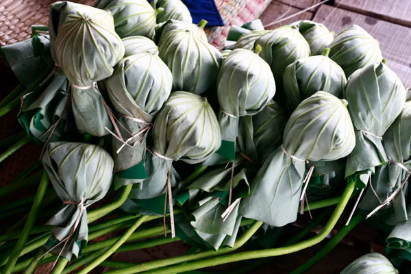 Cach uop tra sen den nguoi luoi cung lam duoc-Hinh-2