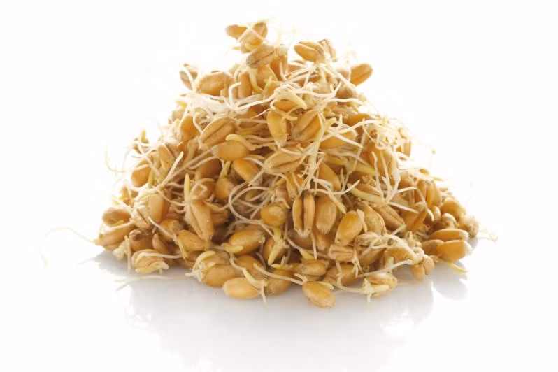 Mầm lúa mì. Chứa nhiều vitamin, khoáng chất, các axit béo thiết yếu và các axit amin, mầm lúa mì được ví như một quả bom dinh dưỡng. Nó cung cấp cho cơ thể các dưỡng chất cần thiết và cũng có tác dụng chống lão hóa hiệu quả.