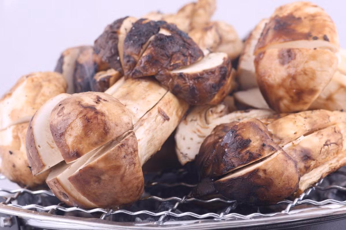 Nấm. Một cái nấm Portobello sẽ cung cấp 1/3 nhu cầu B3 của bạn. Nấm có hàm lượng nước cao, vì vậy mà bạn không nên nướng quá lâu. Có thể nướng nấm trên lửa nhiệt trung bình để vừa chín tới, hoặc chế biến chung với dầu oliu, tỏi, muối, tiêu… Hoặc có thể kèm nấm với rau và bọc giấy bạc nướng trong khoảng 10 phút.