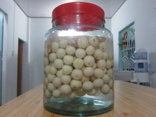 Bí quyét muói cà pháo ngon, gion het xay-Hinh-2