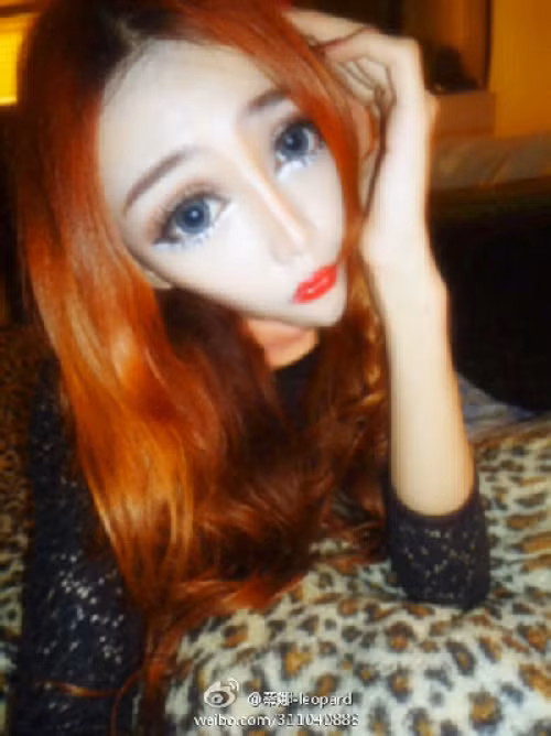 Nhiều cư dân mạng đã vào trang blog cá nhân của Dina Leopard bình luận. Có người cho rằng Dina Leopard đã quan niệm sai lầm về vẻ đẹp nên mới phẫu thuật thẩm mỹ làm biến đổi khuôn mặt kinh khủng như vậy. Có người lại nghĩ Dina Leopard muốn chơi trội. Ảnh: doisongphapluat