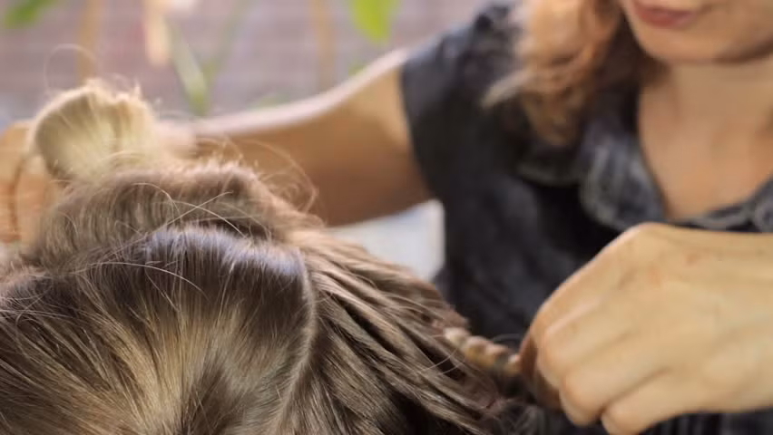 Bên cạnh đó, khi nhổ tóc bạc, lớp màng có tác dụng định hướng mọc cho sợi tóc sẽ mất đi, khiến tóc bị mọc ngược vào trong. (Nguồn Picdn)