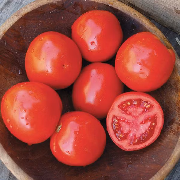 Bên cạnh khoai sọ, cà chua cũng có khả năng tiêu u rất nhạy do có chứa lycopene và carotenoid giúp làm giảm yếu tố hoại tử khối u bằng ⅓ chỉ sau một tháng. (Nguồn Highmowingseeds)