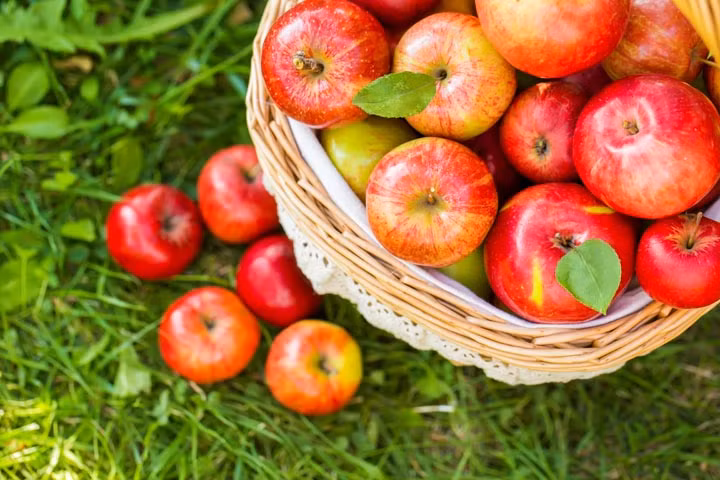 Thậm chí, ăn táo mỗi ngày còn có tác dụng ức chế các tế bào khối u tuyến tiền liệt và vú. (Nguồn Toronto)