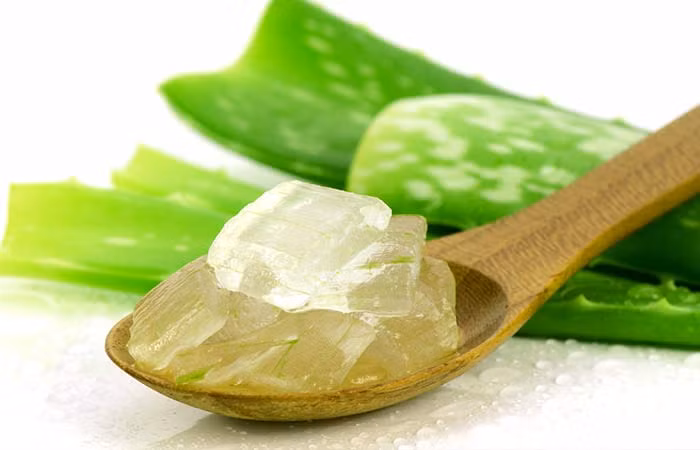 Bạn có thể thay khoai tây bằng nha đam vì loại cây này cũng có tác dụng giảm đau và giúp vết thương mau lành. (Nguồn Stylecraze