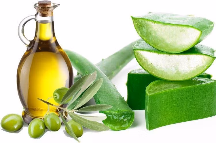 Kết hợp cùng nha đam. Hãy trộn gel nha đam và tinh dầu ô liu với tỉ lệ 1:1 và trực tiếp thoa chúng lên da rồi tắm lại bằng nước hoặc sữa tắm bình thường. Một tuần thực hiện khoảng 2-3 lần, làn da sẽ được trẻ hóa một cách tự nhiên. Ảnh: Beauty Epic.