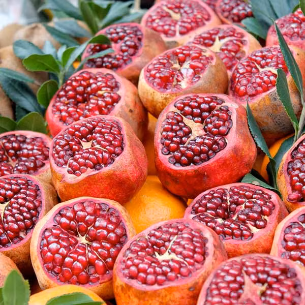 Ngoài ra, chất polyphenol và các hợp chất khác có trong quả lựu cũng có tác dụng kháng viêm và thúc đẩy quá trình làm lành vết thương. (Nguồn Freespiritgroup)