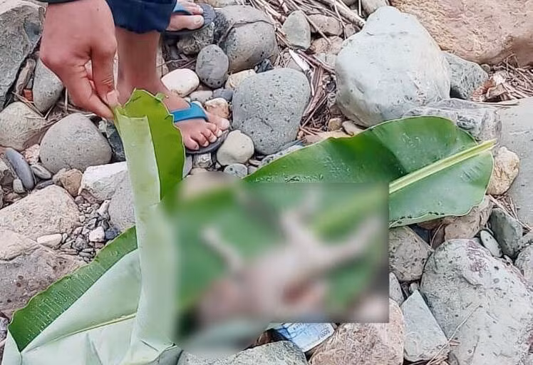 Phat hien thi the tre so sinh troi tren song