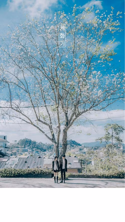 Bộ ảnh được chụp bởi “tay máy” Nguyễn Thế Vinh và đăng tải trên chính Facebook của anh, nhận được nhiều lượt thích và bình luận khen ngợi.