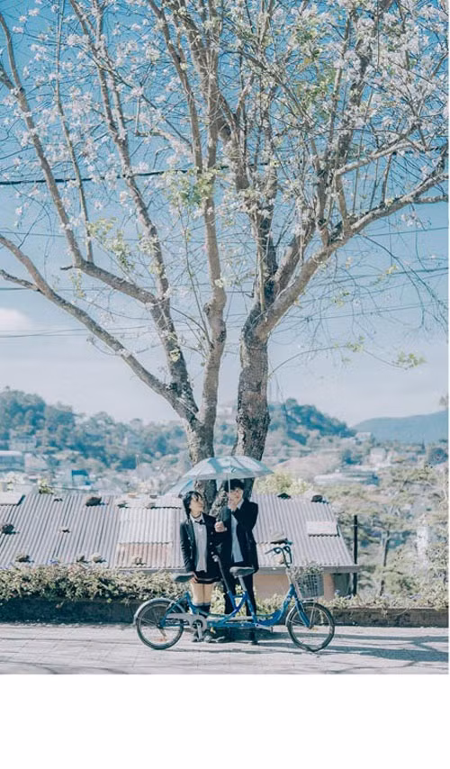 Nguyễn Thế Vinh cho hay, anh nảy ra ý tưởng thực hiện bộ ảnh này rất tình cờ. Một ngày đẹp trời giữa tháng ba, vô tình nhìn thấy gốc ban nở rộ trên con đường Trần Hưng Đạo (Đà Lạt), anh không cầm lòng nổi mà giơ máy lên chụp.